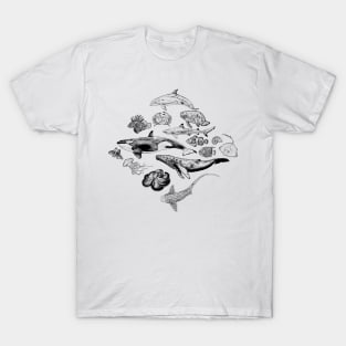 Marine Life in Ink T-Shirt